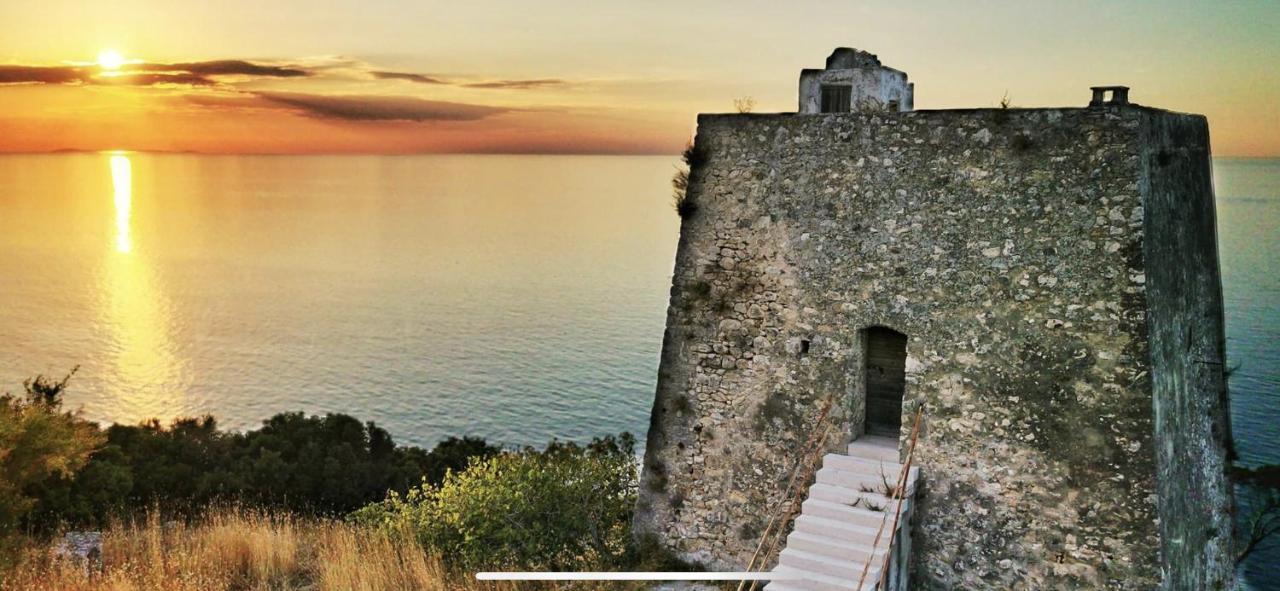 Villa Pineta San Menaio Dış mekan fotoğraf