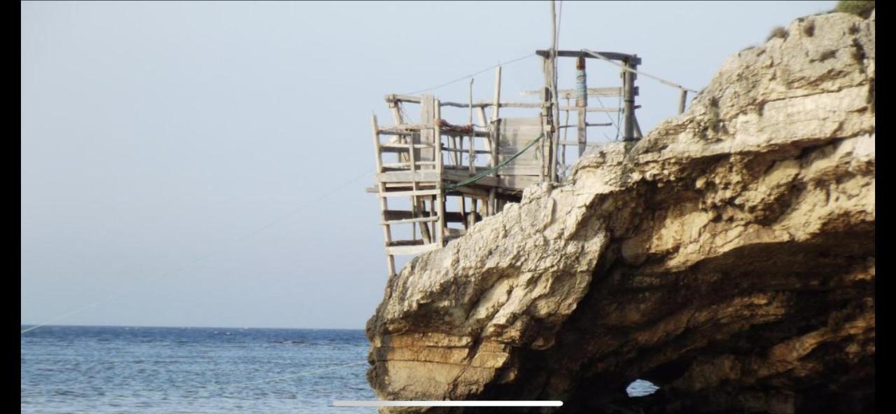 Villa Pineta San Menaio Dış mekan fotoğraf