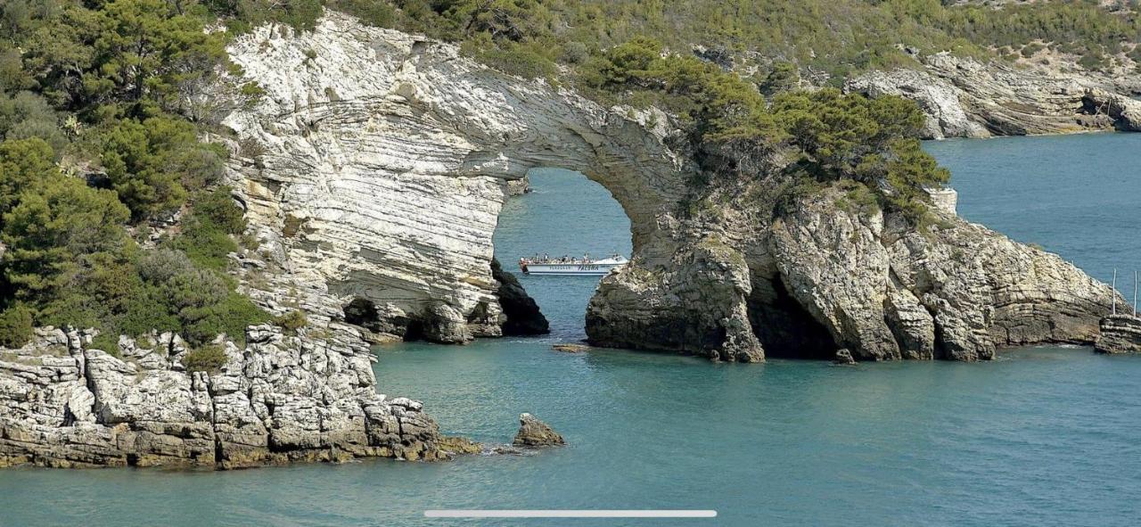 Villa Pineta San Menaio Dış mekan fotoğraf