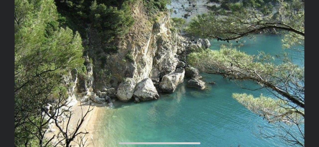 Villa Pineta San Menaio Dış mekan fotoğraf