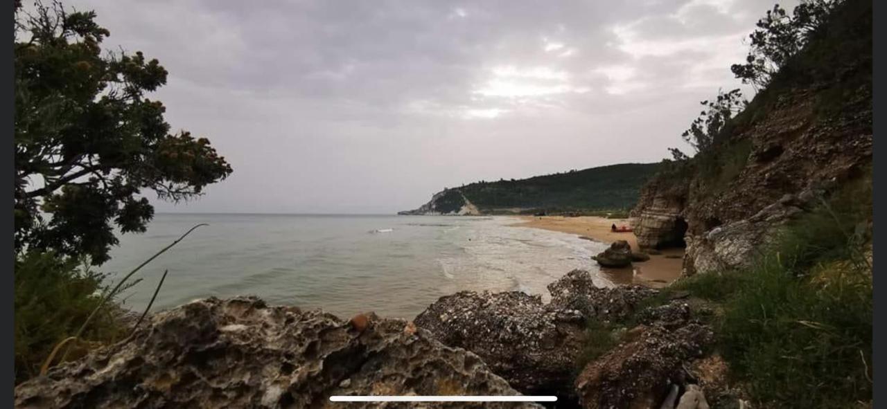 Villa Pineta San Menaio Dış mekan fotoğraf