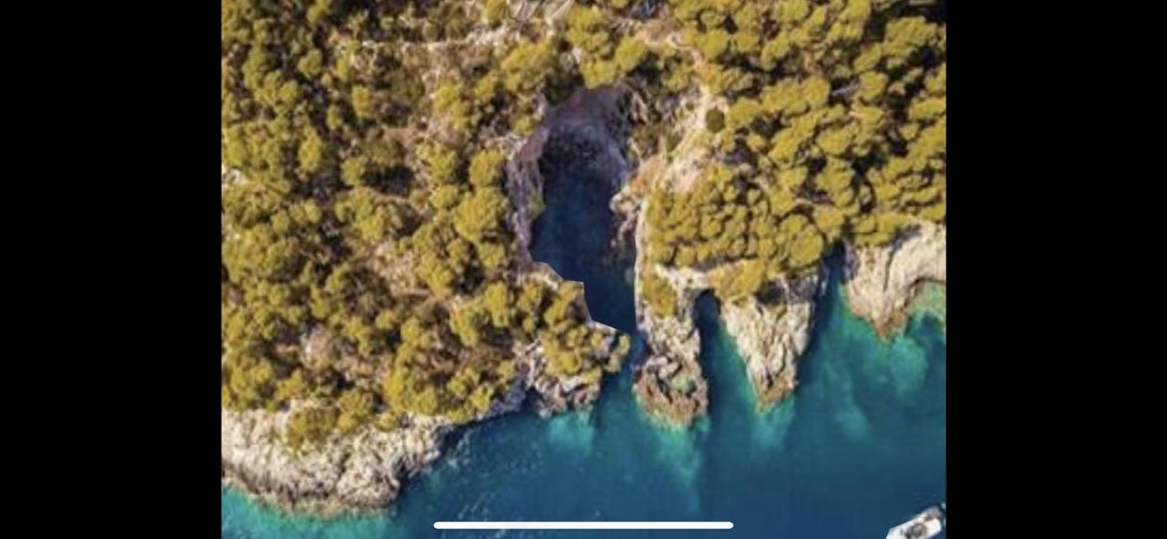 Villa Pineta San Menaio Dış mekan fotoğraf